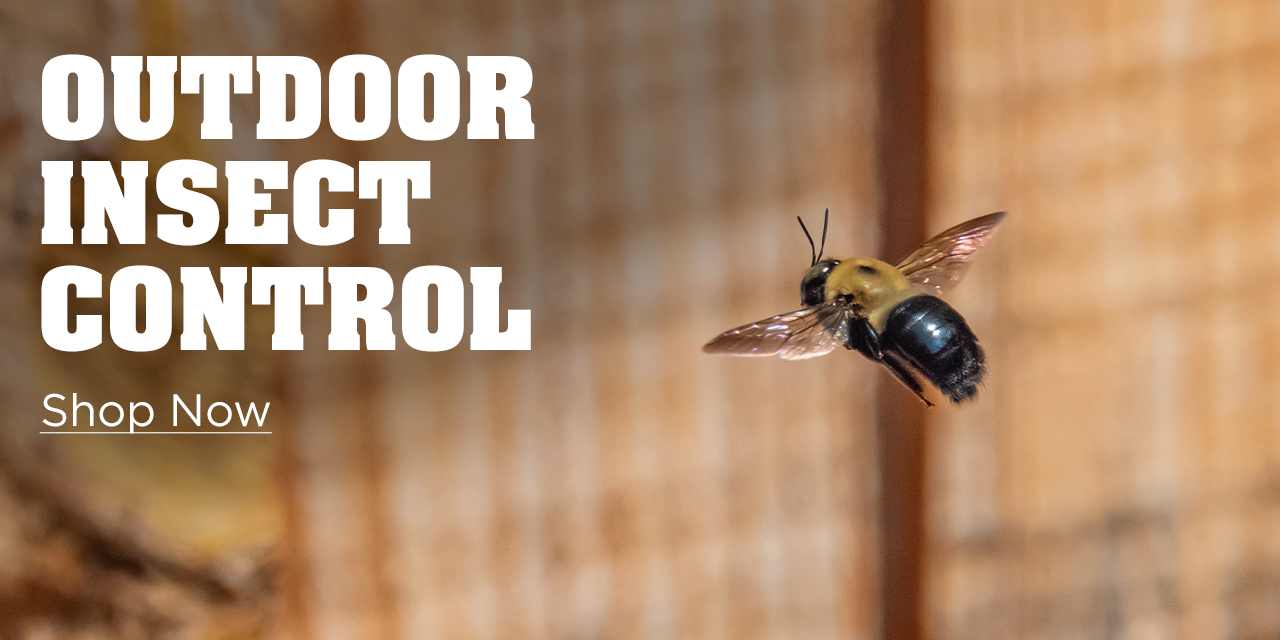 Outdoor Insect Control